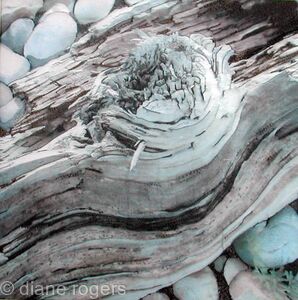 Driftwood
