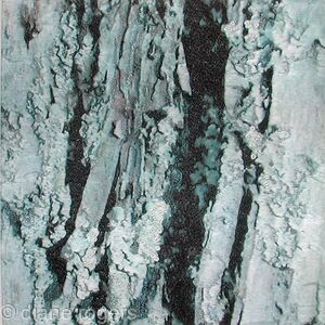 Rough Bark
