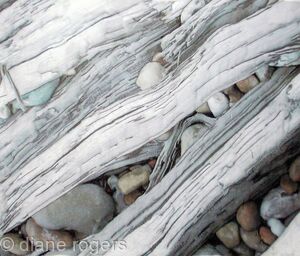 Pebbles and Driftwood
