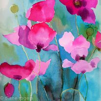 Poppies