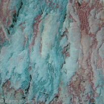 Jewel Bark 1