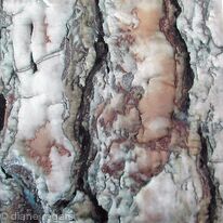 Rust Bark