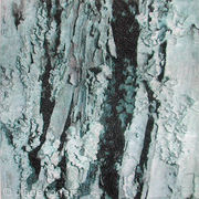 Rough Bark