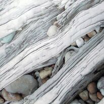 Pebbles and Driftwood