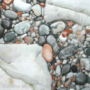 New rock pool