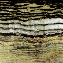 Strata