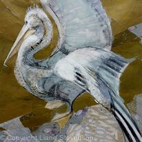 Pelican-gold.