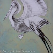 Pelican,blue