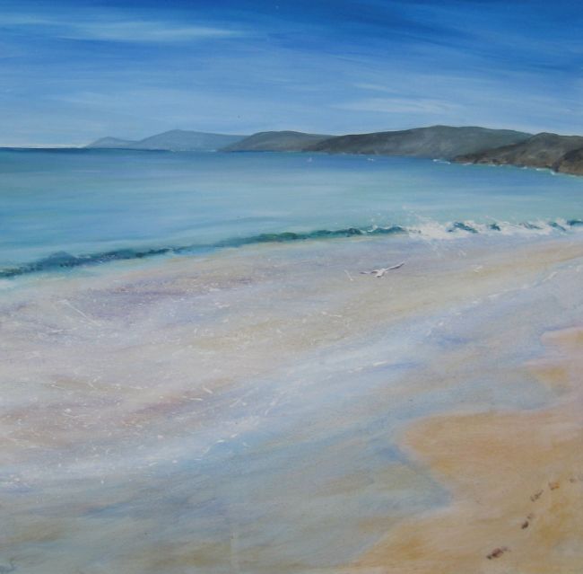 Sennen Seagull