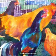 chickens