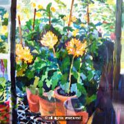 Through the greenhouse