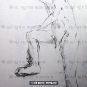Standing Male Nude