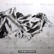 Reclining female nude