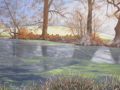 Frosty November Morning