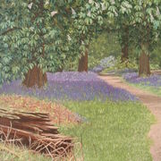 Bluebell Walk
