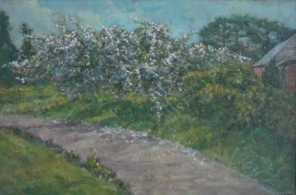 Churchyard Cherry Tree