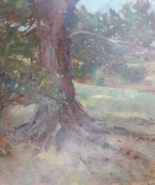 Tree Study