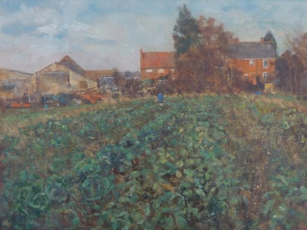 Winter Sunshine, Bourne Farm, Woodchurch