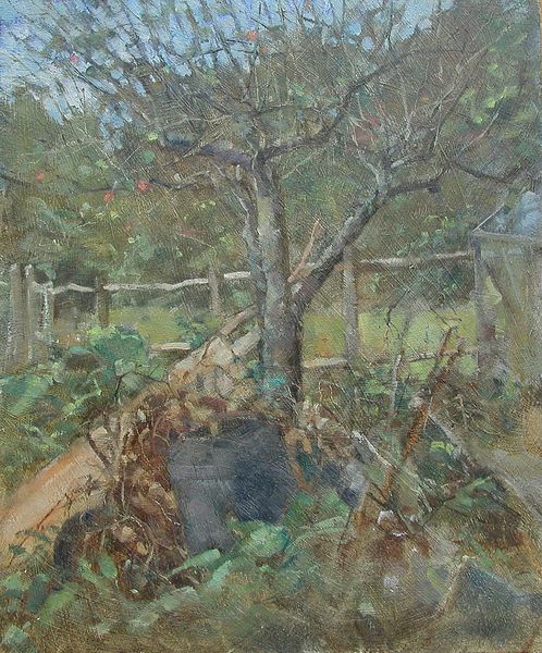 Old Apple Tree