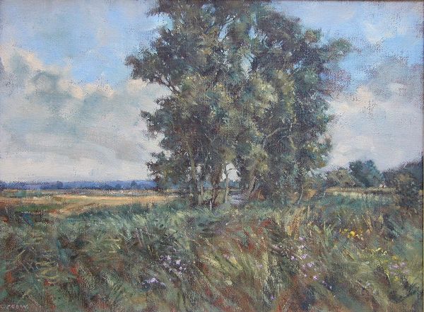 Willows at Fairfield