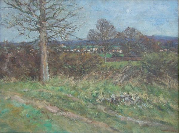 View Of Woodchurch