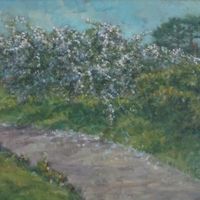 Churchyard Cherry Tree