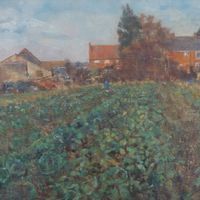 Winter Sunshine, Bourne Farm, Woodchurch