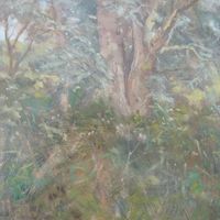 Study Of Willows