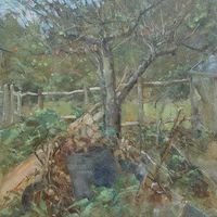 Old Apple Tree