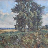 Willows at Fairfield