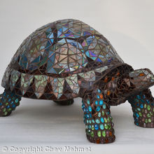 Tortoise