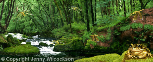 Woodland