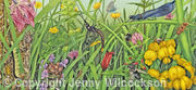 British Hay Meadow
