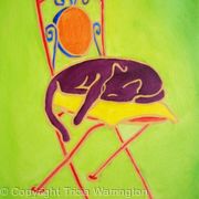 Cat on Garden Chair