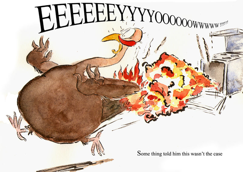 turkey2-copy turkey2-copy
