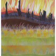 Fire Series