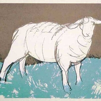 Myrtle ii