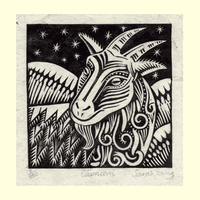 Capricorn (Dec22 - Jan19)