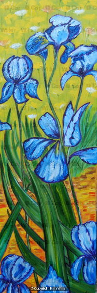 Iris
