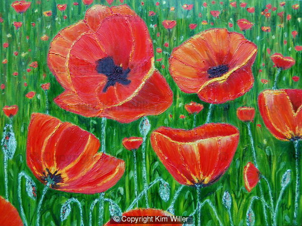 Poppy Field