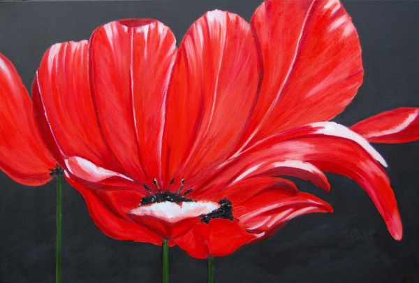 Poppies