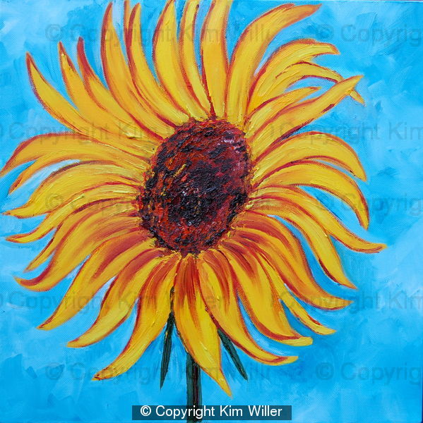 Sunflower