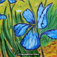 Iris