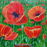 Poppy Field