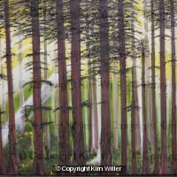 Trees
