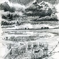 Rainham RSPB Centre