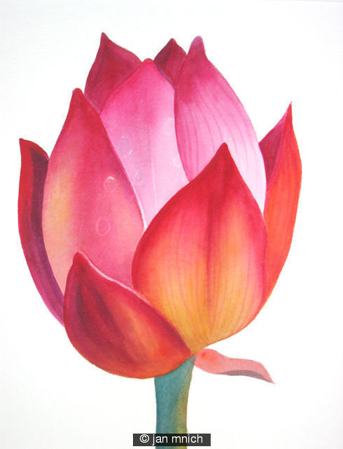 Flower Bud
