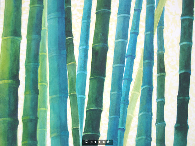 Bamboo