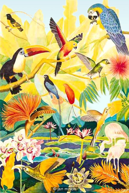 Birds in Paradise
