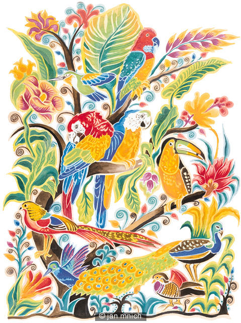 Exotic Birds